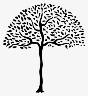 Line & Form Branch Drawing Line And Form - Simple Tree Png
