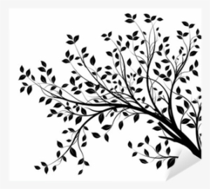 Tree Branches Silhouette Isolated White Background