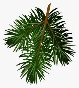 Pine Branch Silhouette 21 - Clip Art Transparent Pine Cone
