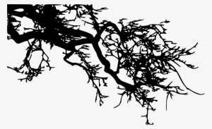 Tree Branch Silhouette Png Download - Art