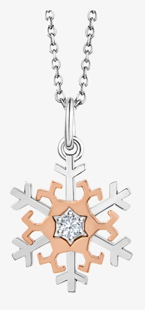 Zoom Video Communications