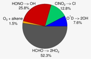 Pie Chart Showing The Relative Importance Of The Individual - Pie Chart
