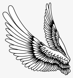 Svg Library Download Drawing Bird Falling - Alas Dibujo