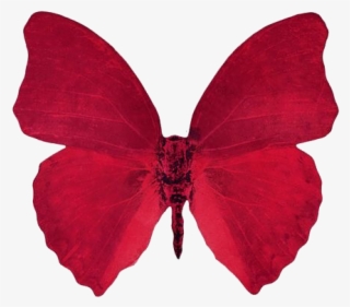 Borboleta Tumblr Red Aesthetic Freetoedit - Transparent Red Butterfly Png