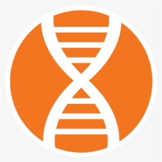 Biomedical Engineering Clse Icon Image - Vcu Biomedical Engineering