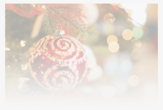 Bg N2 05 Dec 2017 - Christmas Wishes With Jewels