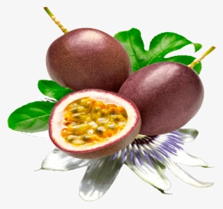 Passion Fruit Seed Png
