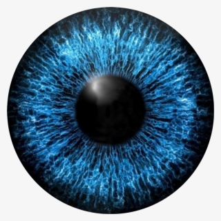 Blue Eyes Eye Sticker By Rajon Ahmed - Eye Pupil Vector