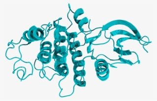 We Offer Custom Bams Assay Development Services To - Graphic Design