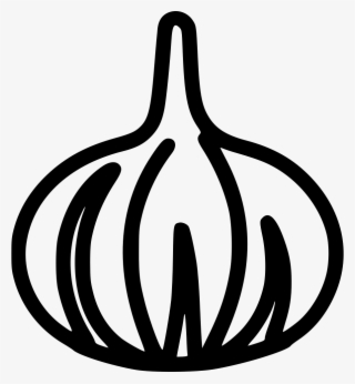 Png File Svg - Garlic