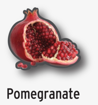 C06e15 - 5 Healthy Food Items