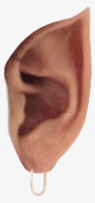 Elf Sticker - Artifact