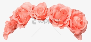 Free Flower Crown Transparent Overlay Tumblr Image - Flower Crown Png Pink