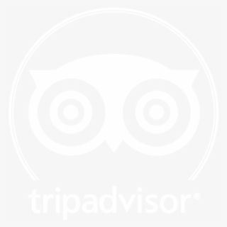About Éco Tours Montreal - Tripadvisor Llc