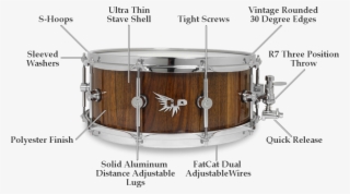 Archetype Snare Features - Snare Drum Structure