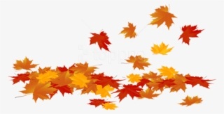 Download Fallen Leaves Clipart Transparent Background - Transparent Fall Leaves Png