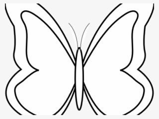 Line Art Clipart Butterfly - Butterfly Black N White
