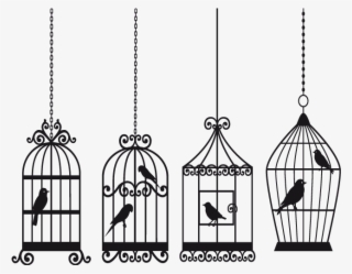 × - Bird Cage Vector
