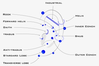 Types Of Piercings - Termoidraulica