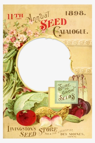 Wings Of Whimsy - Gardening