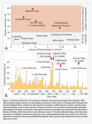 Its Link To Lip Emplacement Into Two Separate Sequences - Diagram