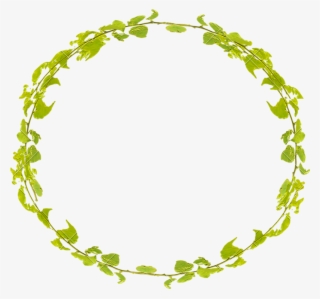 Ornament Photos By - Leaves Design Circle