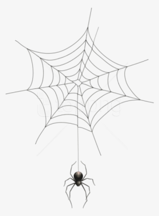 Download Spiders Web Png Free Hd Spiders Web Transparent Image Pngkit SVG, PNG, EPS, DXF File
