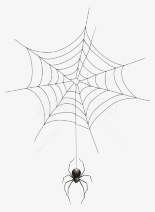 spider web png transparent background