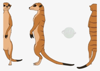 Meerkat Clipart Draw - Meerkat