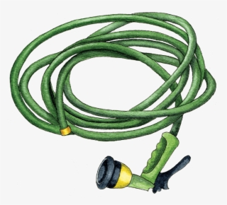 Illustration By Helen Krayenhoff - Wire