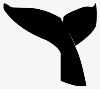 Sperm Whale Clipart Tale