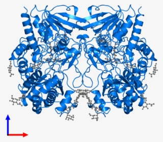 <div Class='caption-body'>pdb Entry 1gpe Contains 2 - Glucose Oxidase Png