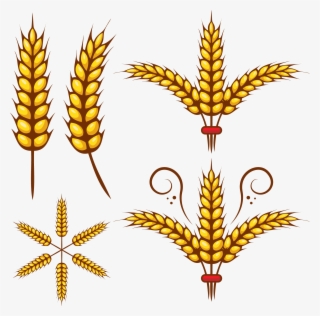 Grains Clipart Animated - Vector Graphics