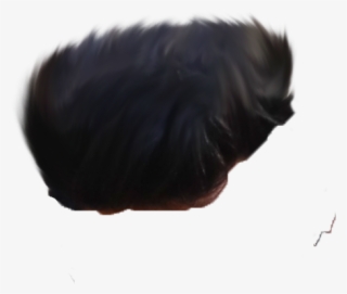 Hair Png ➤ Download - Animal