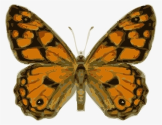 Butterfly Insect Monarch Wings Png Image - Imagenes De Insectos Con Alas