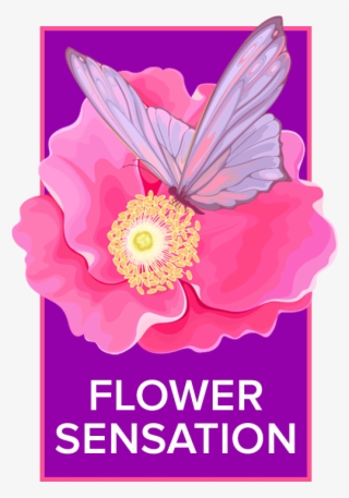 Chula Vista, Ca Florist - Art Library Mac It Designer