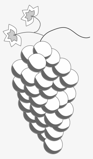 Clips Eat Edible Food Fruit Png Image - วาด ผล ไม้ องุ่น