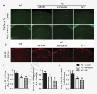 Pathological Analysis Of The Brain Sections From App/ps1 - Diagram