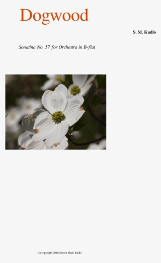 Dogwood Sheet Music For Flute, Clarinet, Oboe, Bassoon - Dermaroller