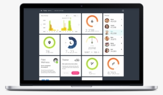 Dashboard-768x447 - Fitbit Plus