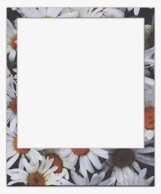 Old But Gold - Picture Frame