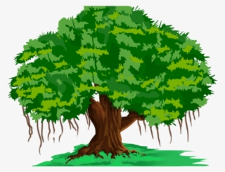 Banyan Tree Clipart Hindi - Banyan Tree In Cartoon