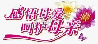 Free Png Mothers Day Typography- 母亲 节 Png Image With - 母亲 节