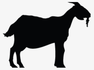 Download Goat Png Free Hd Goat Transparent Image Pngkit