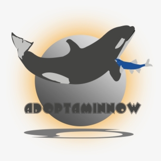 Final 2 - Killer Whale