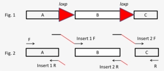 图片1 21 - 84 Kb - Diagram