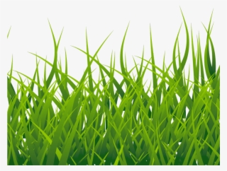 Free Easter Egg Clipart Transparent Background