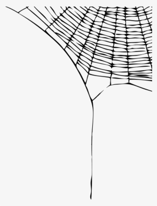 Spider Web Border Png