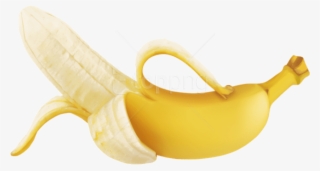 Free Png Images - Peel