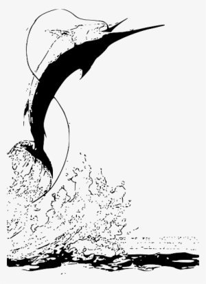 Water, Fight, Fish, Splash, Jumping, Fishing, Swordfish - Fish Splash